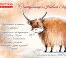 С наступающим Новым Годом С наступающим Новым Годом